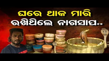 ଘରେ ଥାକ ମାରି ରଖିଥିଲେ ନାଗସାପ