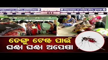 ଡେଙ୍ଗୁ ଟେଷ୍ଟ ପାଇଁ ଘଣ୍ଟା ଘଣ୍ଟା ଅପେକ୍ଷା