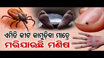 ଜୀବନ ନେଉଛି ସ୍କ୍ରବ ଟାଇଫସ