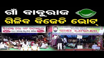 ଗାଁ ବାବୁରାଜ, ଗିଳିବ ବିଜେଡି ଭୋଟ !