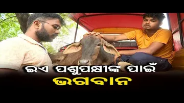 ଇଏ ପଶୁପକ୍ଷୀଙ୍କ ପାଇଁ ଭଗବାନ | Dedicated to Caring for Injured Animals | Odisha Reporter