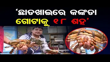 ରାଜଧାନୀରେ ଛାଡ଼ଖାଇ ମାଡ