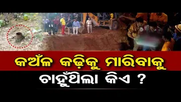 କଅଁଳ କଢ଼ିକୁ ମାରିବାକୁ ଚାହୁଁଥିଲା କିଏ ?