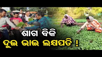 ଶାଗ ବିକି ଦୁଇ ଭାଇ ଲକ୍ଷପତି !