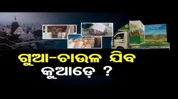 ଗୁଆ-ଚାଉଳ ଯିବ କୁଆଡ଼େ ?
