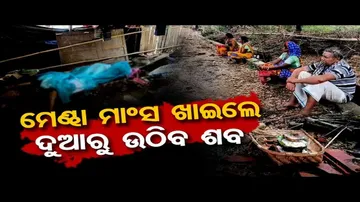 ମେଣ୍ଢା ମାଂସ ଖାଇଲେ ଦୁଆରୁ ଉଠିବ ଶବ