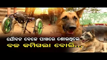 ଏ କେଉଁ ଜନ୍ମର ସମ୍ପର୍କ ?