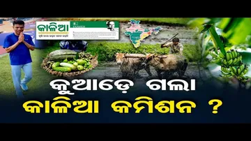 କୁଆଡ଼େ ଗଲା କାଳିଆ କମିଶନ ?