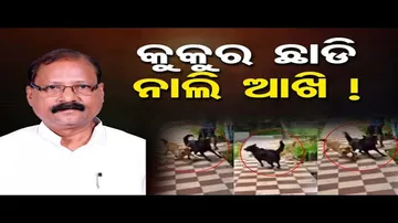ମୁଁ କହିଛି କୁକୁର ଛାଡ଼ିବା ପାଇଁ: ରଘୁନନ୍ଦନ ଦାସ