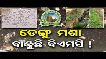 ଡେଙ୍ଗୁ ମଶା ବାଣ୍ଟୁଛି ବିଏମସି ! || Bhubaneswar Hotspot for Dengue Mosquitoes || BMC || Odisha Reporter