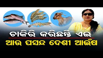 'ମାଡାମ୍ ଟିକେ ଆଇଁଷ ପ୍ରିୟ'