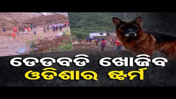 କେରଳରେ ରେସ୍କ୍ୟୁ କରିବ ଓଡ଼ିଶାର ସନ୍ଧାନୀ କୁକୁର 'ଷ୍ଟର୍ମ'