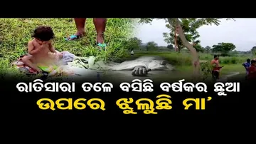 ରାତିସାରା ତଳେ ବସିଛି ବର୍ଷକର ଛୁଆ, ଉପରେ ଝୁଲୁଛି ମା'