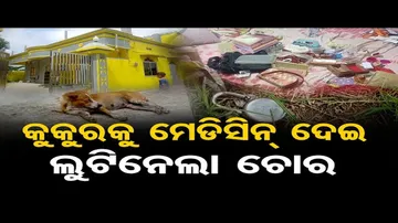 କୁକୁରକୁ ନିଶା ମେଡିସିନ୍ ଦେଇ ଘରେ କଳାକନା ବୁଲାଇଲା ଚୋର