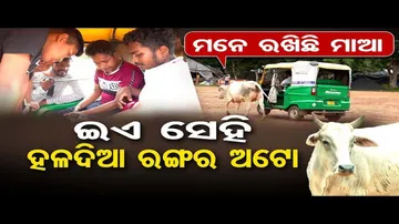 କାହିଁକି ଅଟୋ ପଛରେ ଧାଉଁଥିଲା ଗାଈ ?