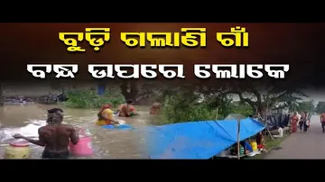 ଗାଁରେ ପଶିଗଲା ପାଣି || Sorrowful Flood Situation At Bhograi, Balasore || Odisha Reporter