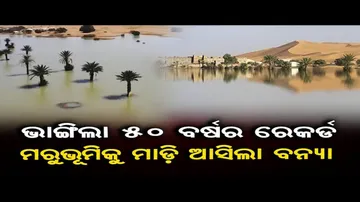 ମରୁଭୂମିରେ ବନ୍ୟା !