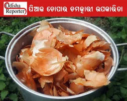 ପିଆଜ ଚୋପାରେ ରହିଛି କ୍ୟାନସରରୁ ବଞ୍ଚାଇବାର ଶକ୍ତି,କେବଳ ସେତିକି ନୁହେଁ ରହିଛି ଅନେକ ଚମତ୍କାରୀ ଉପକାରିତା