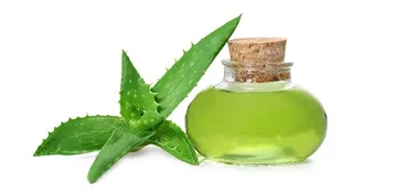 ବ୍ରଣ, ଦାଗ ଓ ଭାତୁଡ଼ିକୁ ନେଇ ଚିନ୍ତିତ କି ? ଜାଣନ୍ତୁ ଏହି ମହୌଷଧୀ ସଂପର୍କରେ