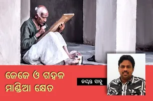 ଜେଜେ ଓ ଗହଳ ମାଣ୍ଡିଆ କ୍ଷେତ