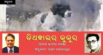 ତିଥୱାଲର କୁକୁର