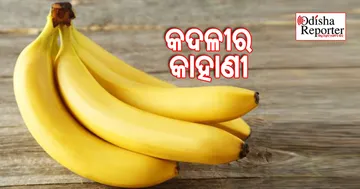 ହାର୍ଟ ଆଟାକ୍‌ ଓ ବ୍ଲଡ୍‌ ପ୍ରେସର୍‌ ପାଇଁ ଦେଶୀ ଔଷଧ