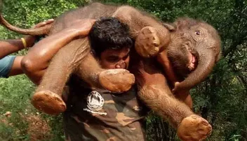 ‘ଯବାନଙ୍କ କାନ୍ଧରେ ହାତୀଛୁଆ’ ଫଟୋକୁ ନେଇ ସୋଶାଲ୍ ମିଡିଆରେ କନ୍‌ଫ୍ୟୁଜନ୍