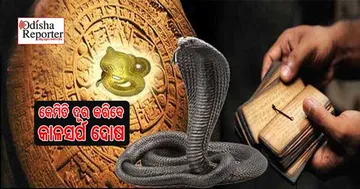 ‘କାଳସର୍ପ ଦୋଷ’ ଯୋଗୁ କୌଣସି କାମରେ ସଫଳତା ପାଉନାହାଁନ୍ତି କି? କାଲି ନାଗପଞ୍ଚମୀରେ କରନ୍ତୁ ଏହି ୪ଟି କାମ
