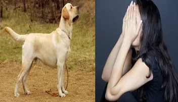 ନାବାଳିକାର ଇଜ୍ଜତ ବଞ୍ଚାଇ ଦେଲା ପୋଷା କୁକୁର, ଜାଣନ୍ତୁ କେମିତି ?