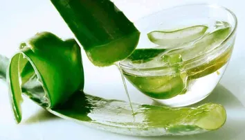 ଏହି ଉପାୟରେ ମୁହଁରେ ଲଗାନ୍ତୁ ଆଲୋ ଭେରା