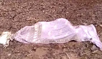 ଗଛରେ ପିଟି ମାରିଦେଲା ଦନ୍ତା