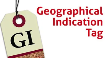 ୩୨୬ ଉତ୍ପାଦକୁ ମିଳିଛି ଜିଆଇ ଟ୍ୟାଗ୍