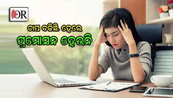 ଯଦି ଶୀଘ୍ର ପ୍ରମୋସନ ଚାହୁଁଛନ୍ତି, ତା’ ହେଲେ ଆପଣାନ୍ତୁ ଏ ସବୁ ଉପାୟ