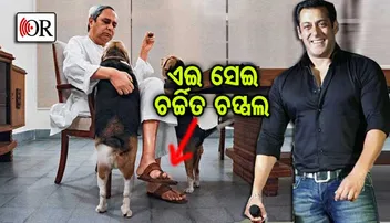 ବିଙ୍ଗ୍‌ ହ୍ୟୁମାନ୍‌ଙ୍କୁ ମିଳିଗଲେ ଭଲ ହ୍ୟୁମାନ୍‌ ବିଙ୍ଗ୍‌ !