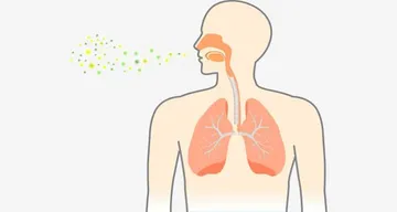 'ନିମୋନିଆ'ରୁ ସୁରକ୍ଷା ପାଇଁ ଆପଣାନ୍ତୁ ଏହି ସବୁ ଘରୋଇ ଉପଚାର