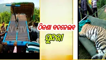 କୋଉଠି ରହିବ ସୁନ୍ଦରୀ ?