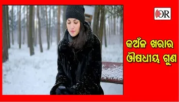 ଶୀତଦିନିଆ କଅଁଳ ଖରାରେ ରହିଛି ଏହି ସବୁ ଔଷଧୀୟ ଗୁଣ