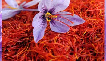 ଶୀତ ଦିନେ ଖୁବ୍‌ ଉପକାରୀ କେଶର, ନିଜ ଖାଦ୍ୟରେ ଏହାକୁ ସାମିଲ କରନ୍ତୁ