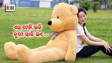 ଟେଡି ହୋଇ ତାଙ୍କ ଘର ସେଲ୍ଫରେ ସଜେଇ ହେବାର ବେଳ ଆସିଗଲା