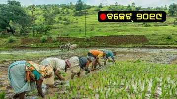 ବର୍ଷକୁ କୃଷକ ପାଇବେ ୬ ହଜାର