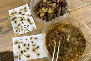 ଅନଲାଇନ ଅର୍ଡର ହୋଇଥିବା ଖାଦ୍ୟ ପ୍ୟାକେଟରୁ ମିଳିଲା ୪୦ଟି ଅସରପା