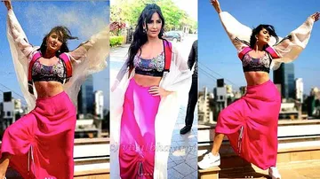 ହୋଲିରେ ଠୁମ୍‌କା ଲଗାଇଲେ କ୍ୟାଟ୍‌: ଭିଡ଼ିଓ ଭାଇରାଲ୍‌