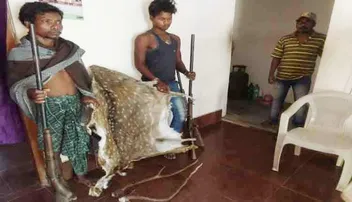 ହରିଣ ଛାଲ, ଶିଙ୍ଗ ଜବତ: ୨ ଶିକାରୀ ଗିରଫ