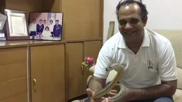 ସାପକୁ ବଞ୍ଚାଇବାକୁ ଧାଇଁ ଆସିଲେ ଆୟକର ବିଭାଗ ଅଧିକାରୀ