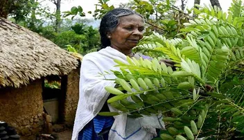 ‘ଜଙ୍ଗଲ ଦାଦି’ଙ୍କୁ ଜାଣିଛନ୍ତି,  ୫୦୦ ପ୍ରକାର ଔଷଧ ତିଆରି କରିବାରେ ସିଦ୍ଧହସ୍ତ...