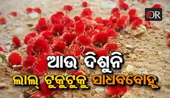 ରଜ ଓ ଦେଖାଯାଉ ନଥିବା ସାଧବ ବୋହୂ