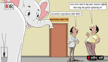 ଓଡ଼ିଶା ସମବାୟ ବ୍ୟାଙ୍କରେ ଧଳାହାତୀ ପୋଷା!