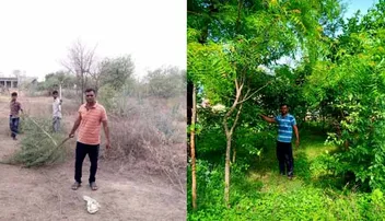 ଗୁଟ୍‌ଖା ଛାଡ଼ି ଗଛ ଲଗାଉଛନ୍ତି