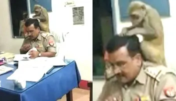 ପୁଲିସ୍‌ ଅଫିସର୍‌ଙ୍କ କାନ୍ଧରେ ବସି ଉକୁଣି ବାଛୁଚି ମାଙ୍କଡ, ଭିଡିଓ ଭାଇରାଲ୍‌