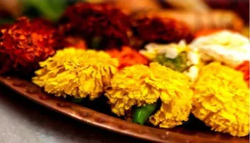 Home decore Tips: ଅଦରକାରୀ ଫୁଲକୁ ଘରେ ଏପରି କରନ୍ତୁ ବ୍ୟବହାର